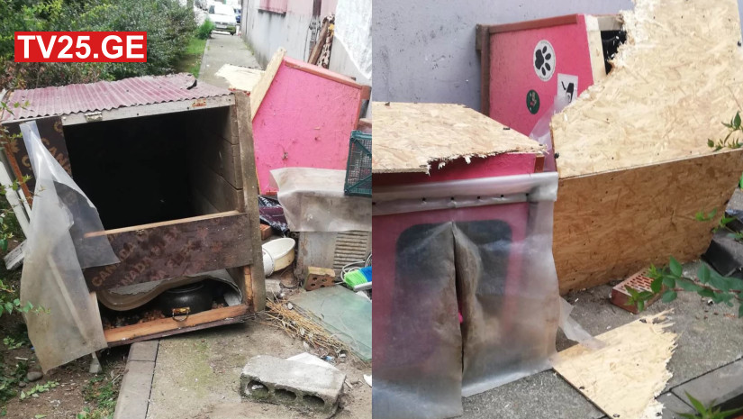 სახლები