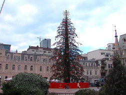 ნაძვის ხე