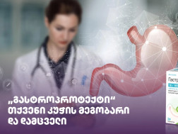 გასტროპროტექტი